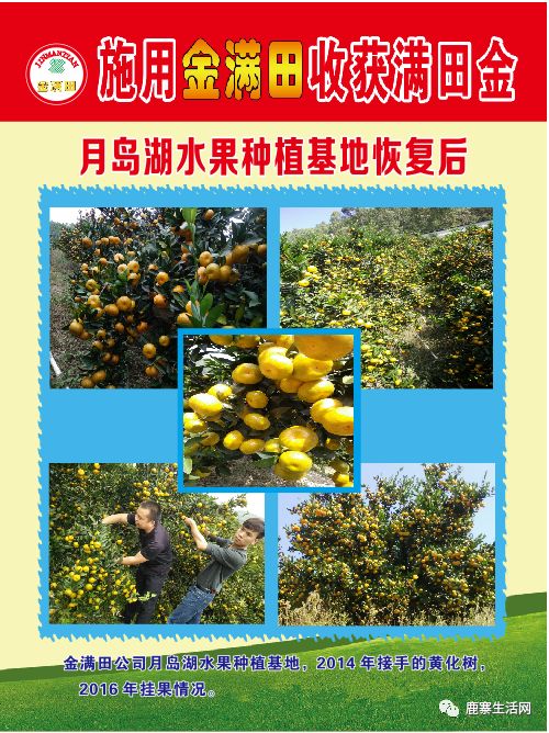 是什么讓這個(gè)基地碩果累累？鹿寨柑橘大咖現(xiàn)場授課，誠邀您來參加