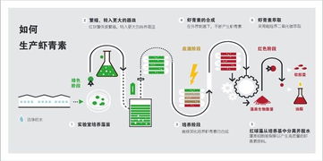 普正生物2019新品發(fā)布 生物技術(shù)驅(qū)動的無糖凝膠糖果創(chuàng)新開發(fā)