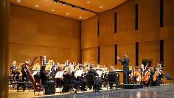 李可染畫院2018新年音樂會暨李庚教授音樂會作品展在京隆重舉行，推動文化藝術交流新篇章