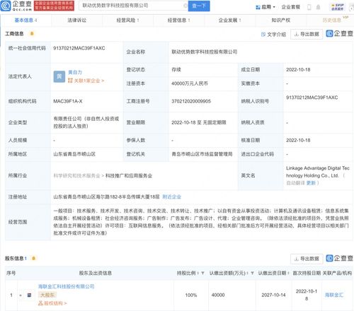 信息系統(tǒng)集成服務(wù) 構(gòu)建數(shù)字化未來的核心力量