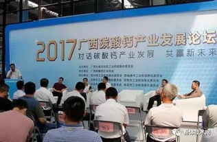 廣西碳酸鈣產(chǎn)業(yè)發(fā)展論壇在南寧舉行 技術(shù)研發(fā)引領(lǐng)綠色轉(zhuǎn)型與高值化應(yīng)用